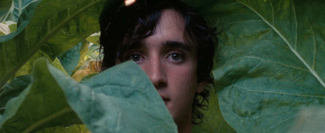 HAPPY AS LAZZARO